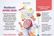 Realisasi APBN 2025