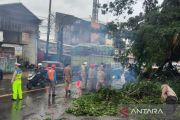 Polisi bersama Bhabinkamtibmas sigap tangani pohon tumbang di Tangsel