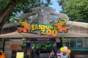 Pemkot Bandung buka opsi tutup operasional Bandung Zoo