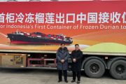 RI ekspor perdana durian beku ke Tiongkok senilai Rp2,08 miliar
