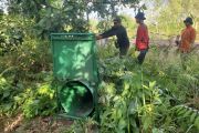 BKSDA Sampit pasang perangkap untuk beruang madu yang meresahkan warga