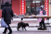 Potret keramaian pasar pagi Heilongjiang di tengah cuaca dingin ekstrem