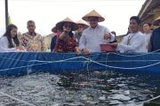 BRIN kembangkan inkubator percepat pembenihan ikan nila