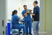 Budaya baru merawat hewan peliharaan ala kaum urban