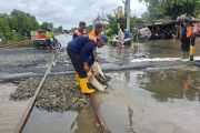 Dua KA di Daop 9 Jember terdampak banjir kembali beroperasi normal