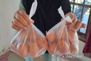 Peternak bantu 150 ribu butir telur ayam untuk korban banjir Aceh