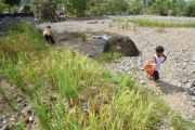 Kementan siapkan anggaran pemulihan sawah rusak akibat bencana