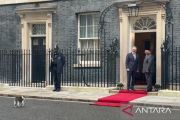 Di Downing Street, Larry the Cat ikut sambut kedatangan Prabowo
