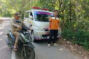 Harimau masuk kebun, warga Agam halau dengan sirene ambulans