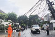 Petugas tangani pohon tumbang yang timpa kabel listrik di Jaksel