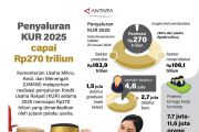 Penyaluran KUR 2025 capai Rp270 triliun