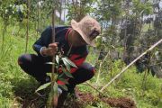 Siapkan jalur pendakian Gunung Prau warga Campurejo menanam 500 pohon