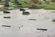 Curah hujan tinggi, makam di TPU Pondok Kelapa terendam banjir