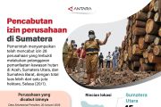 Pencabutan izin perusahaan di Sumatera