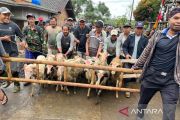 Tradisi Sadranan Dusun Pete Kandangan menyembelih 94 kambing