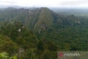 Kaltim-YKAN konsisten kelola bentang alam lindungi biodiversitas