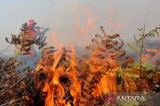 Kebakaran hutan dan lahan gambut di Aceh Barat meluas hingga 17 hektare