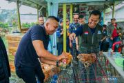 Pemkot Bogor kembangkan peternakan ayam petelur berbasis LPM pasok MBG