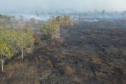 Kemenhut kerahkan Manggala Agni padamkan karhutla di Sumatra