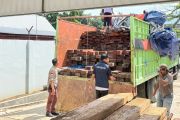 Kemenhut gagalkan pengangkutan 544 batang kayu tanpa dokumen di Sulsel