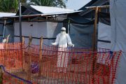 Tim ilmuwan China temukan mutasi penting pada virus Ebola