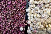 BPS catat tren kenaikan harga bawang putih hingga Rp39.810 per kg