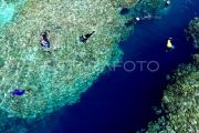 Indonesia, US launch $35M debt-swap program for coral reef protection