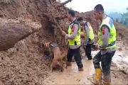 Polres Pemalang kerahkan anjing pelacak bantu pencarian korban tanah longsor