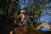 Nelayan mulai kembali menangkap ikan di Danau Maninjau