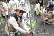 Finnet tanam mangrove di pesisir Jakarta
