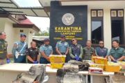 Karantina Lampung gagalkan penyelundupan satwa ilegal&nbsp;