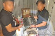 TNI AL gagalkan penyelundupan kulit ular piton dan kura-kura ilegal