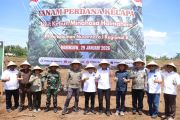 Kejati Sulut-PTPN tanam pohon kelapa perkuat ketahan pangan nasional