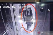 Polisi selidiki asal-usul &ldquo;whip pink&rdquo; di apartemen Lula Lahfah
