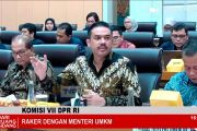 Menteri UMKM dan DPR bahas penguatan kebijakan batasi impor ilegal