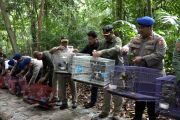 Ratusan burung endemik Sultra hasil selundupan kembali ke habitat