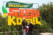 Sebangau, surga ekowisata gambut yang memikat wisatawan