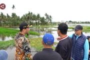 Cari solusi, anggota DPRD Banjarmasin tinjau titik banjir