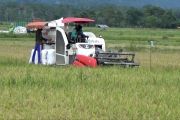 Bulog Sultra catat rekor serapan gabah sepanjang tahun 2025