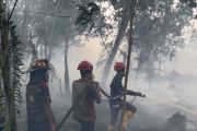 Pemkot Pontianak tanggulangi kebakaran puluhan hektare lahan gambut