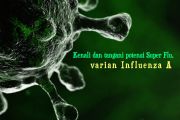 Kenali dan tangani potensi Super Flu, varian Influenza A