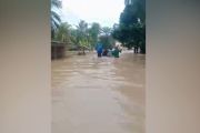 Banjir kembali rendam sejumlah kecamatan di Aceh Timur