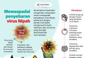 Mewaspadai penyebaran virus nipah