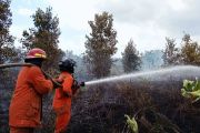 Disdamkarmat Natuna berhasil padamkan kebakaran lahan seluas 10 ha