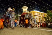 Album Asia: Parade tahunan Navam Maha Perahera digelar di Kolombo