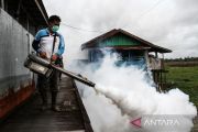 Upaya cegah DBD, fogging dilakukan di permukiman Palangka Raya