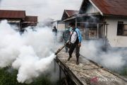 Indonesia urges stronger ASEAN cooperation against dengue threat