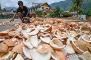 Indonesia targets coconut downstreaming prep by late 2026: minister