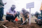 Lampung Timur kembangkan agroforestry kakao berbasis perhutanan sosial