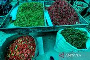 PIHPS: Harga cabai rawit merah dan telur ayam masih tinggi